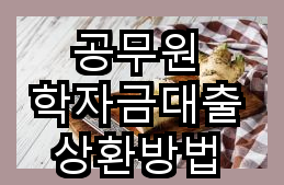 공무원 학자금대출 효율적인 상환 전략
