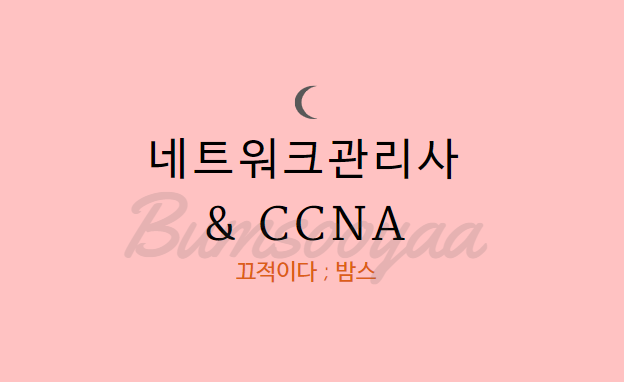 네트워크관리사, CCNA 모두 준비할 수 있는 강남네트워크학원