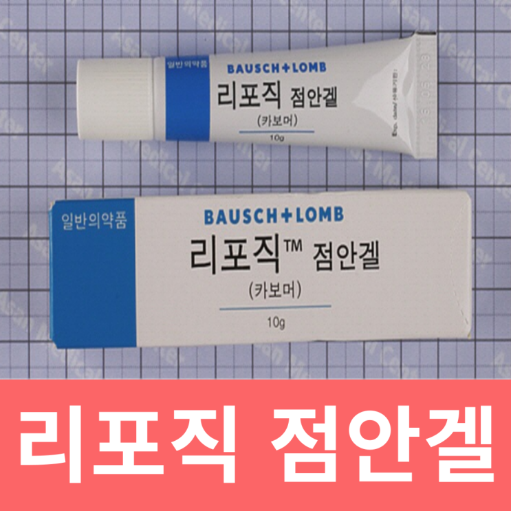 리포직 점안겔 안구건조증 안연고 사용법 성분 처방