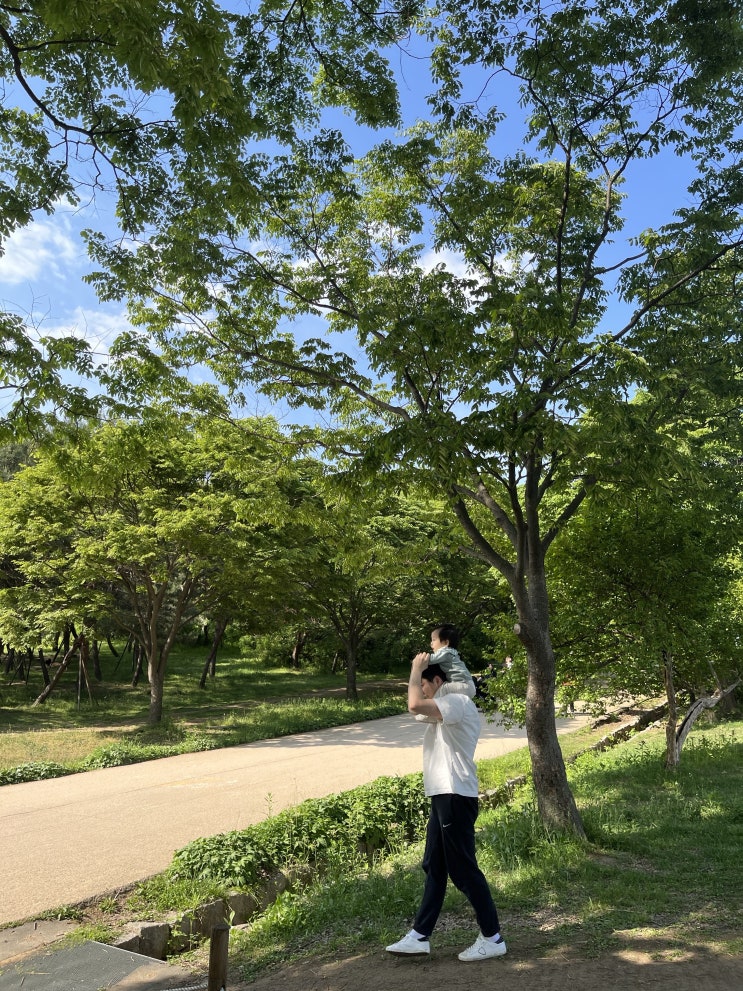  가정의 달 5월, 여러분은 어떻게 보내고 계신가요.
