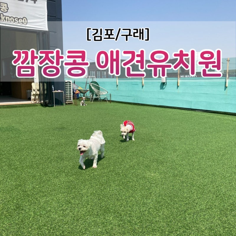 사진 10