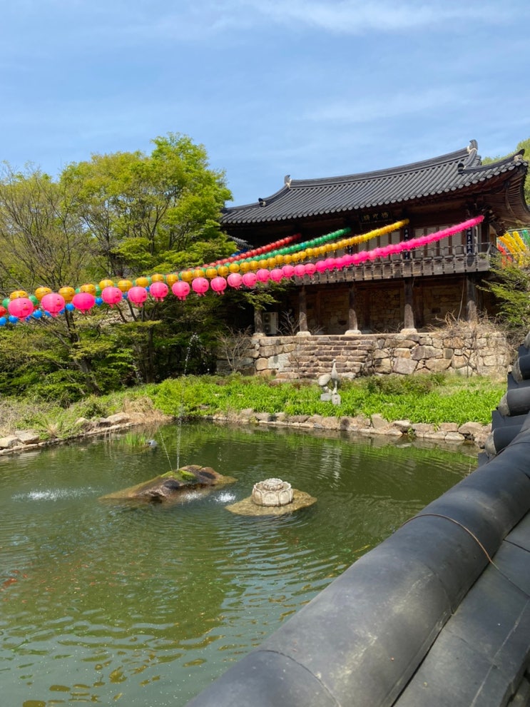  경남 창원 성주사 곰절, 황토길 황토곰숲길 나들이