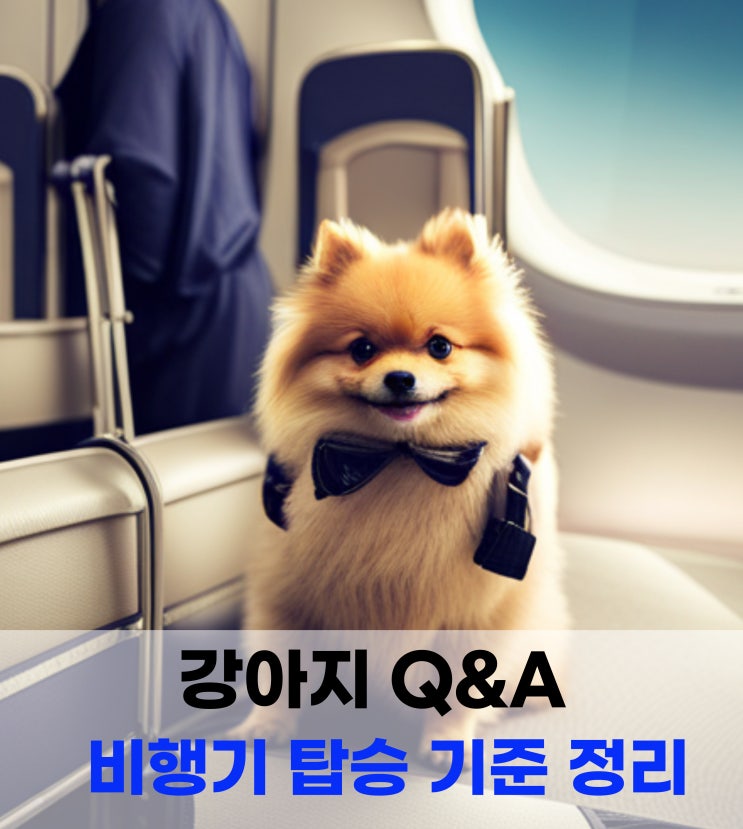  강아지 비행기 탑승 기준 정리