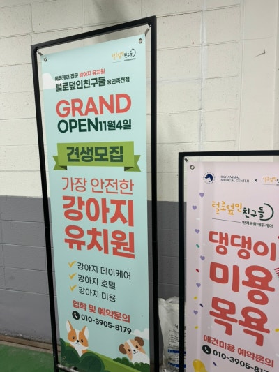 사진 5
