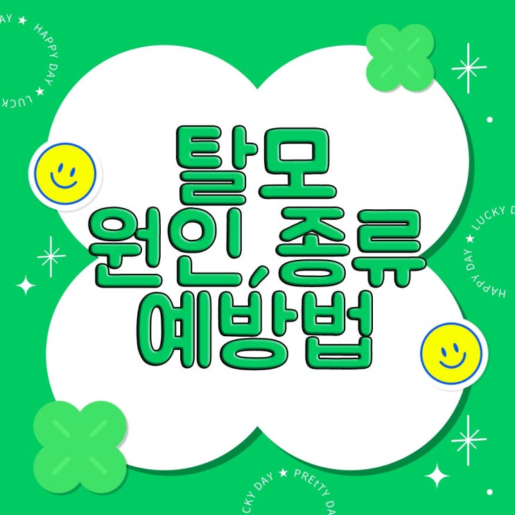  탈모 종류와 원인 예방법