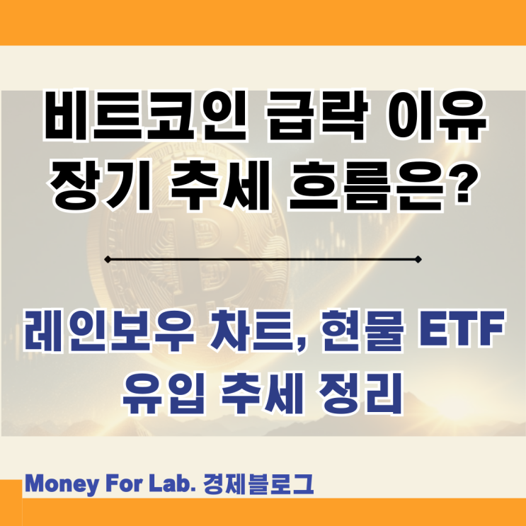  비트코인 반감기 하락 폭락 이유 조정 하락장 시작일까 레인보우 차트 추세는