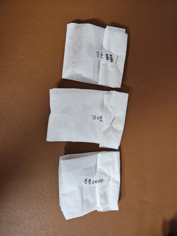  사랑초 푸푸레아 가넷 폼폼 구근 수확 보관 심기