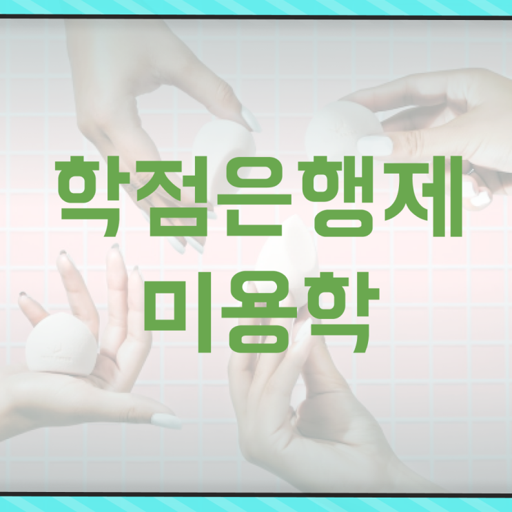  미용사 면허증 발급 , 미용사면허증 학은제로 빠르게 이렇게 따면 되요