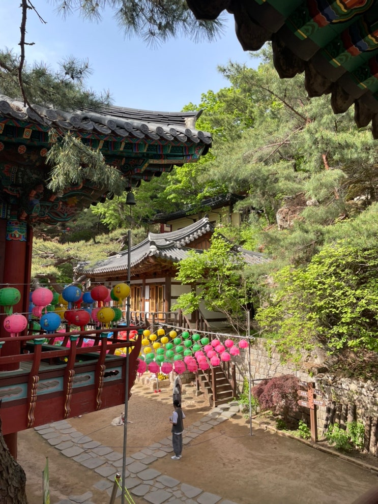  [서울 여행] 금선사 체험형 1박2일 템플스테이 후기 (+ 예약/금돌이/절밥/야경)