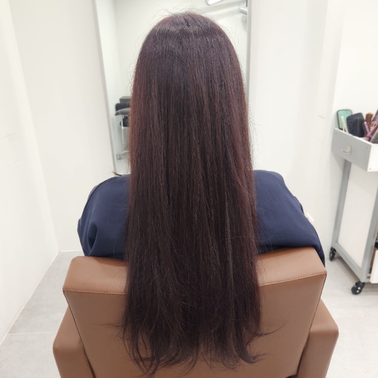 마이오헤어강남점 친절한 예서원장님 버건디염색 후기~
