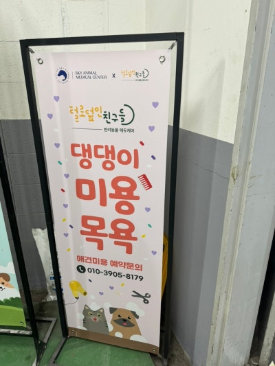 사진 4
