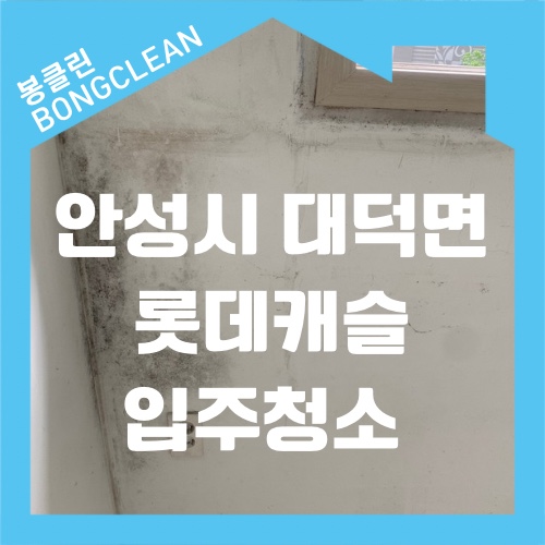  경기도 안성시 대덕면 롯데캐슬 아파트 입주청소 곰팡이 찌든 때 제거