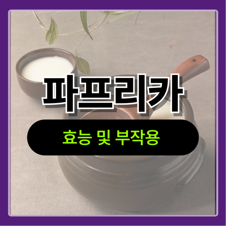  파프리카 색깔별 효능 및 부작용 : 무슨 차이가 있을까?