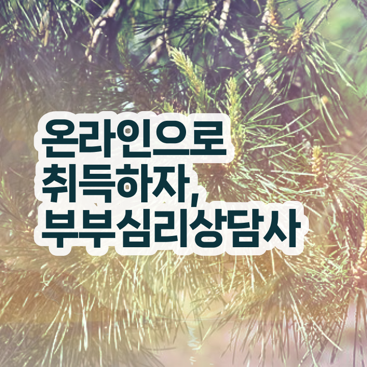  1급부부심리상담사전문교육 , 부부심리상담사 자격증 한달 만에 합격 후기 전격분석