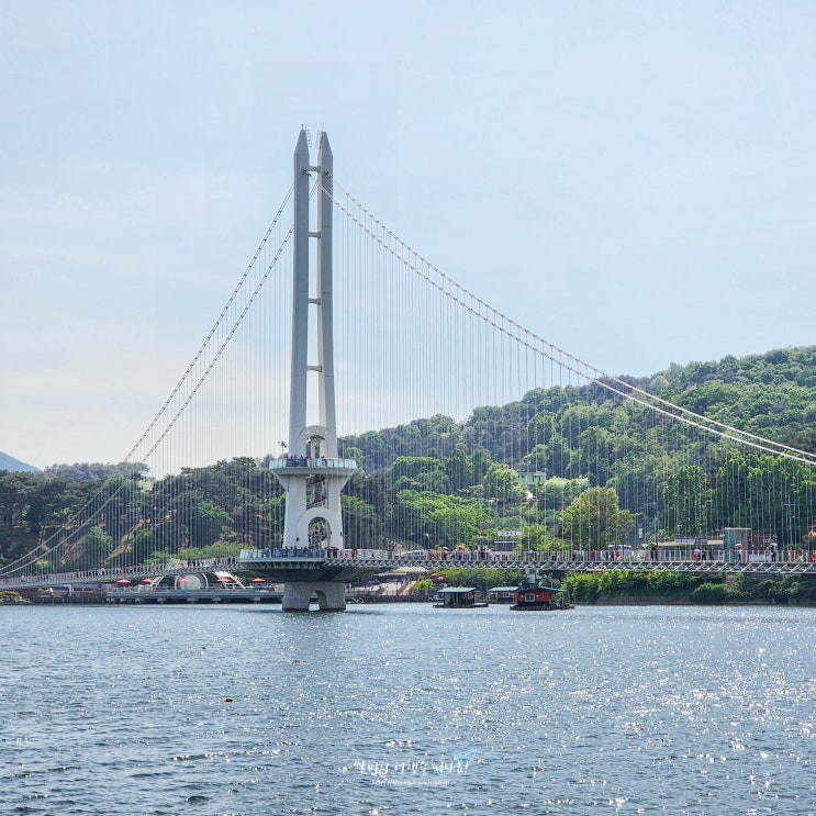  예당호 출렁다리 모노레일 추천 코스 알려드려요