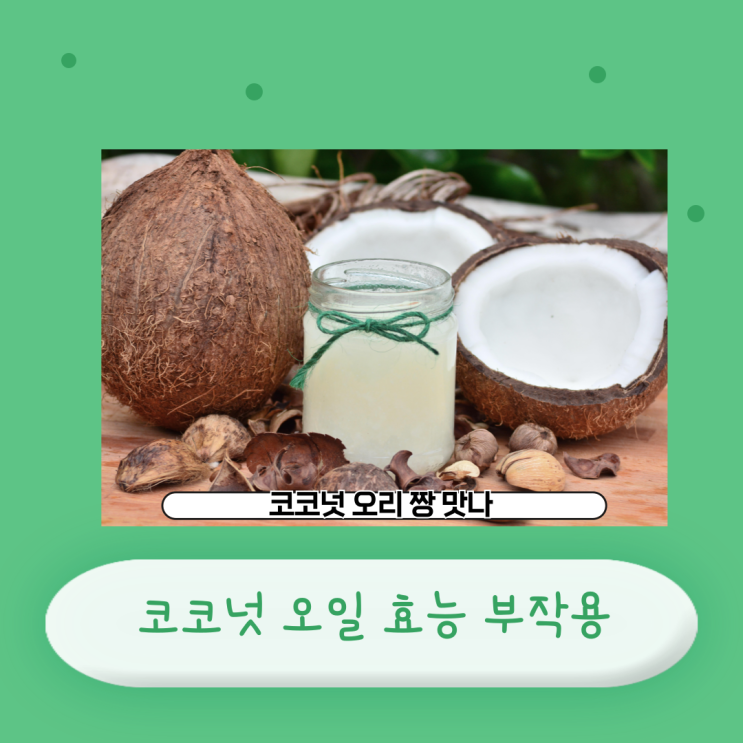  코코넛오일 효능 부작용 보관방법 섭취량 제품 추천 설사