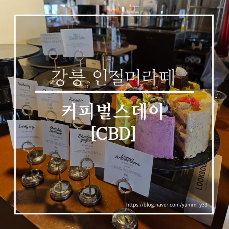  강릉 커피벌스데이 CBD 애견동반가능 인절미라떼