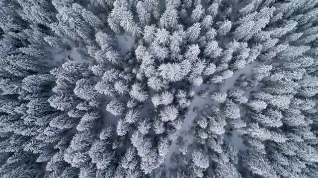  산업안전기사 필기 퇴실 산업안전기사 자격요건 온라인으로 4달 안에 완료한 과정