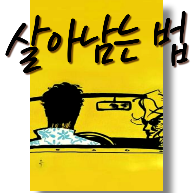  송화가루 날리는 시기와 시간 대처 방법