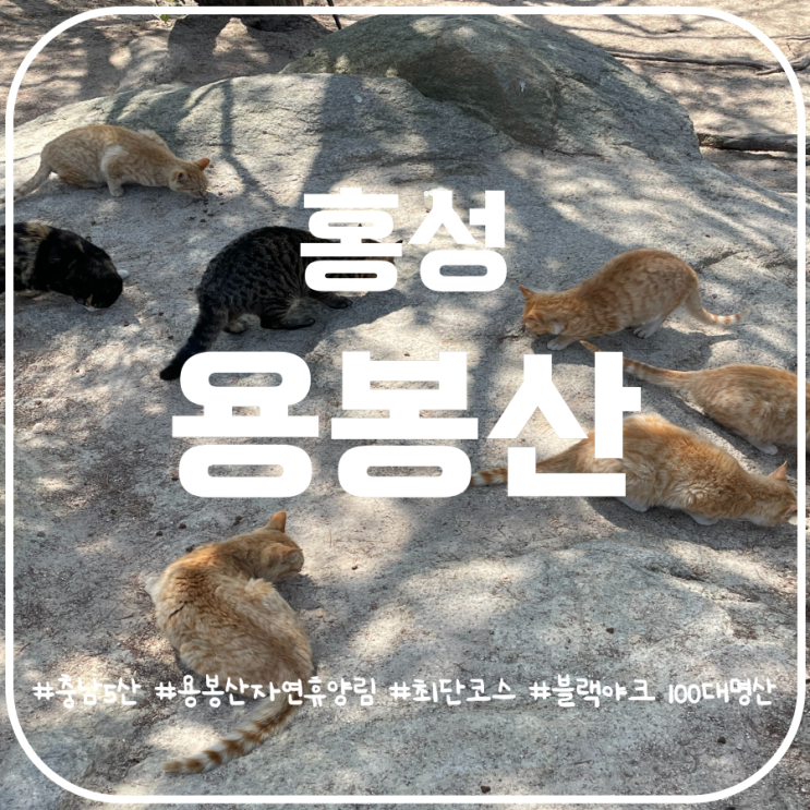충남5산 홍성 용봉산 등산코스 용봉산자연휴양림 최단코스 충남5산 홍성 용봉산 등산코스 용봉산자연휴양림 최단코스