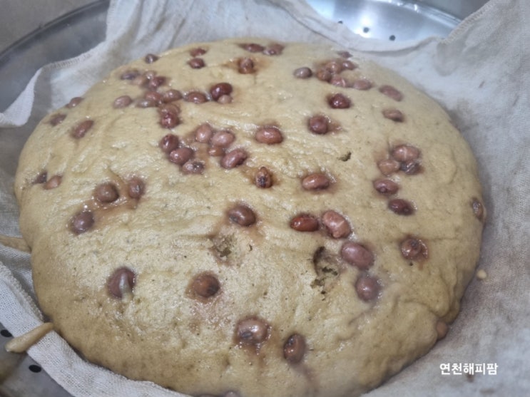  술빵만들기 초간단 보리술빵 /쌀가루술빵 두가지레시피