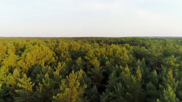  부산 사회복지사공부 , 사회복지사2급 학력 상관없이 온라인 과정으로 빠르게