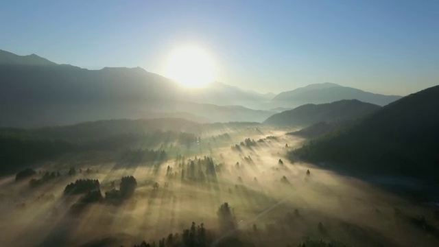  버섯산업기사 취득자격 인강만 듣고 15주만에 끝낸 방법