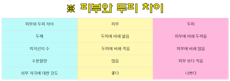  두피구조, 두피기능, 피부 두피 차이