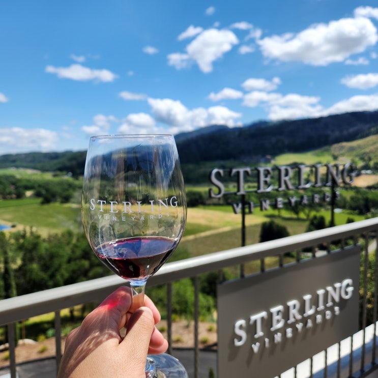  샌프란시스코 근교 나파밸리 와인 투어 스털링 와이너리 나파벨리 Sterling vineyards, Napa valley