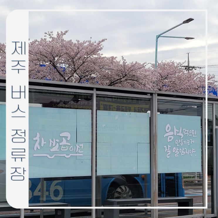  제주 버스 여행도 하고 제주 방언도 보고