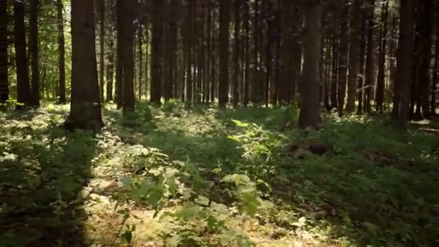  화훼장식산업기사과정평가형 화훼장식산업기사 응시자격 집에서 온라인으로 간단하게 완료한 전략