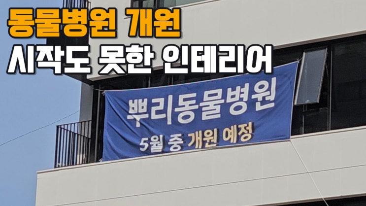  동물병원 개원 지연되는 동안 유튜브 촬영, 편집 연습