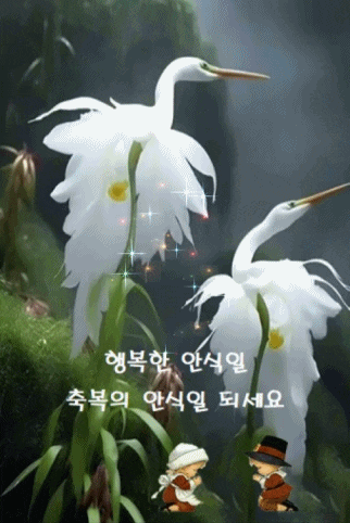 아카시아꽃, 과수원길
