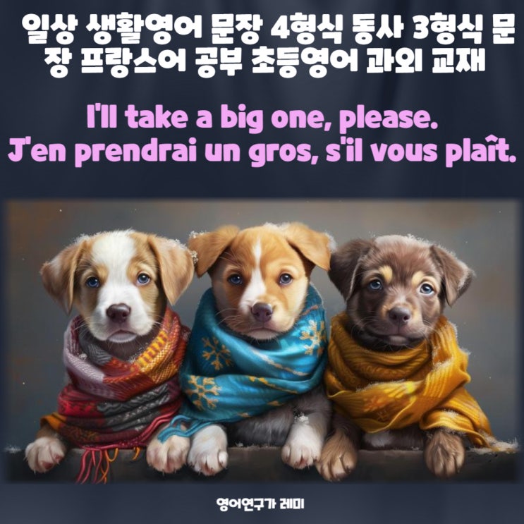 일상 생활영어 문장 4형식동사 3형식문장 프랑스어 공부 초등영어 과외 교재 프랑스어 회화 입문 일상 생활영어 문장 4형식동사 3형식문장 프랑스어 공부 초등영어 과외 교재 프랑스어 회화 입문