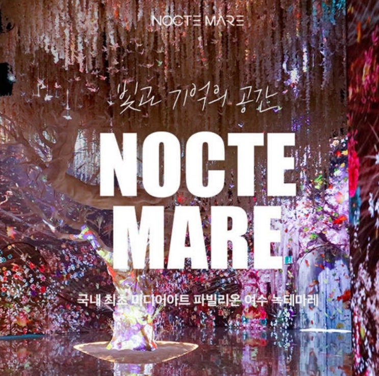  엄마와 함께 여수 녹테마레 미디어아트센터 데이트