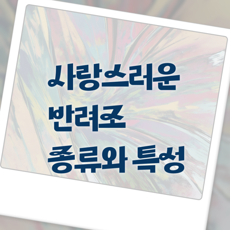  왕관앵무새 분양 , 반려조관리사 자격증 20일 만에 준비한 방법 및 활용 방법