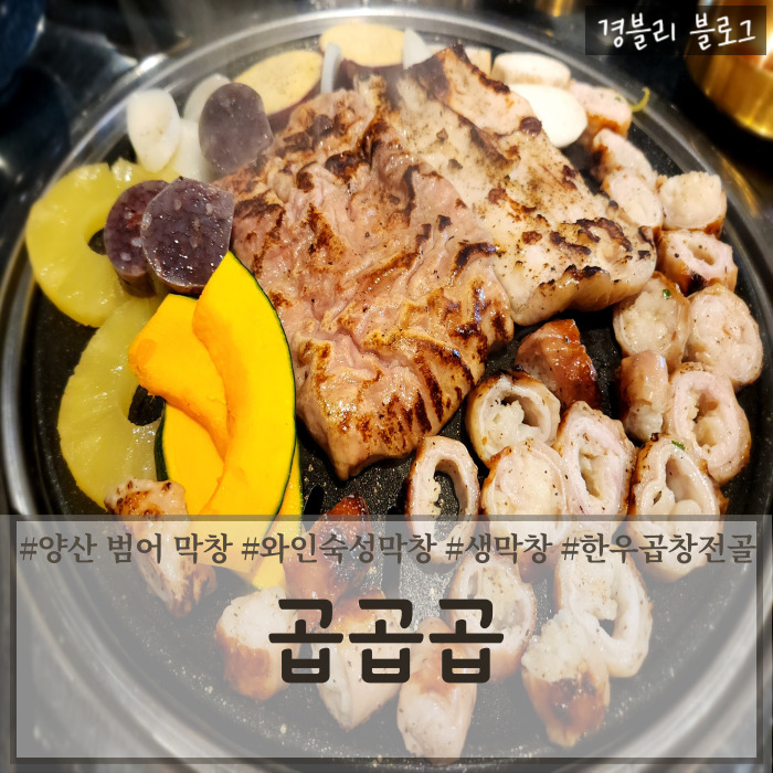  양산 범어 와인숙성막창 분위기 좋은 양산한우곱창전골 맛집 '곱곱곱'