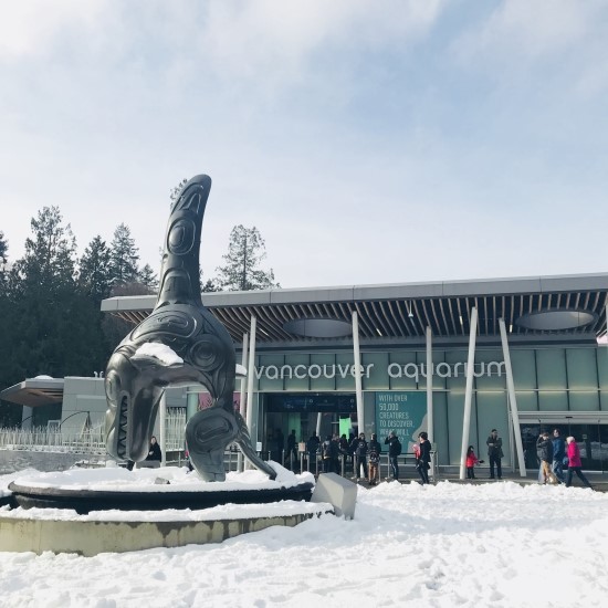  [Travel]2018. 02. Vancouver Aquarium 후기