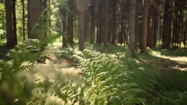  서산 사회복지학과 ? 사회복지사2급 경력없어도 학은제로 빠르게