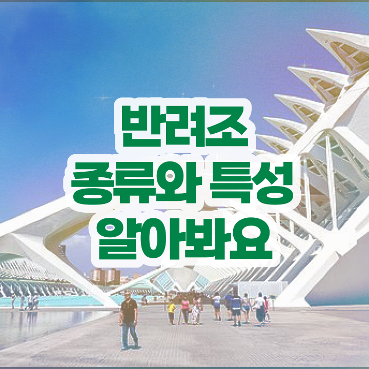  말하는 앵무새 분양가 , 반려조관리사 자격증 구체적인 합격정보 핵심 정보