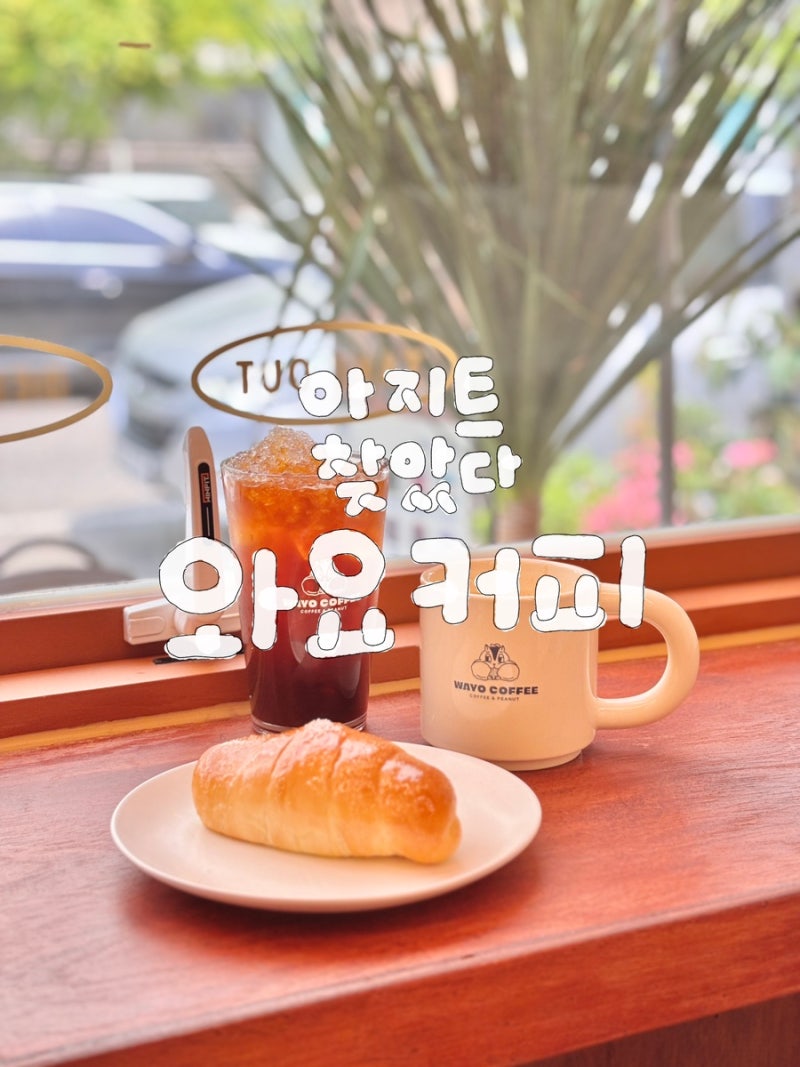 사진 3
