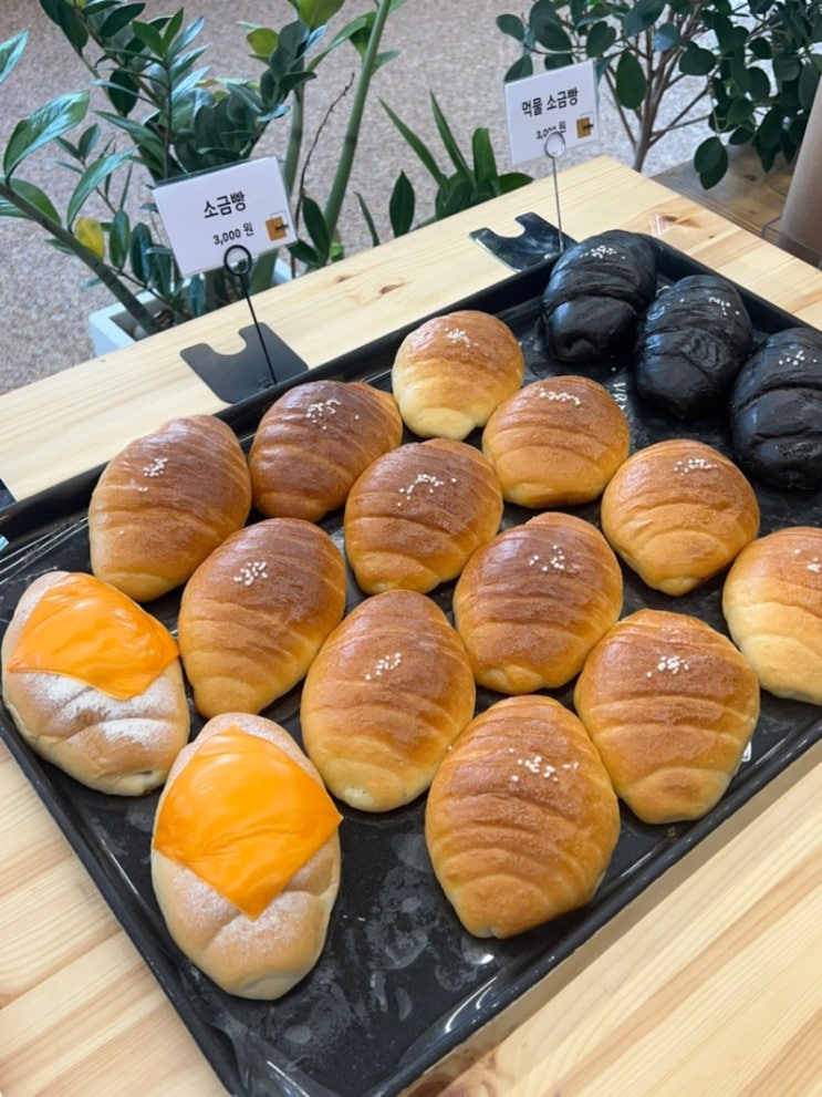  경주 성건동카페 다양한 종류의 소금빵맛집의 브로피