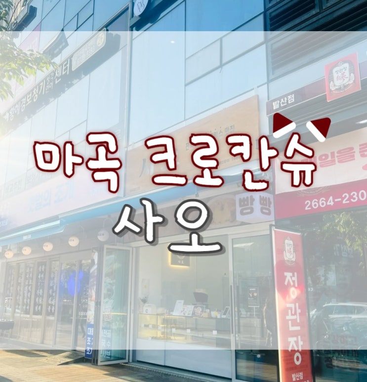  사오 크로칸슈 / 마곡 크로칸슈 / 전국3대 크로칸슈 맛집 / 커스터드크림 크로칸슈/ 크로칸슈슈