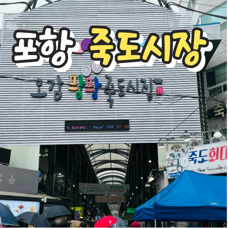  [리뷰] 포항여행 동해안 최대규모 죽도시장 필수먹거리 간식 공영주차장 정보