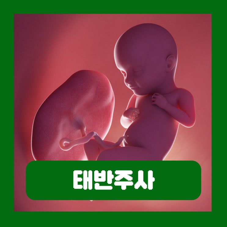  갱년기 태반주사 가격 실비 효과 부작용