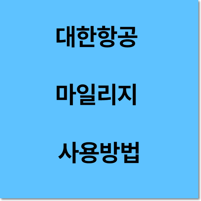  대한항공 마일리지 사용 방법 정리