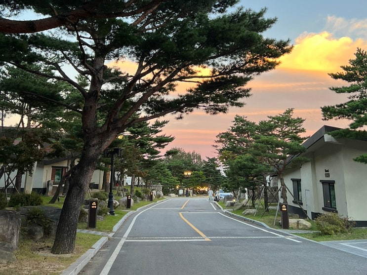  강원도 애견동반 숙소 켄싱턴리조트 설악밸리 추천