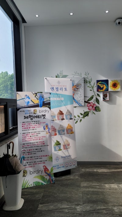 사진 8