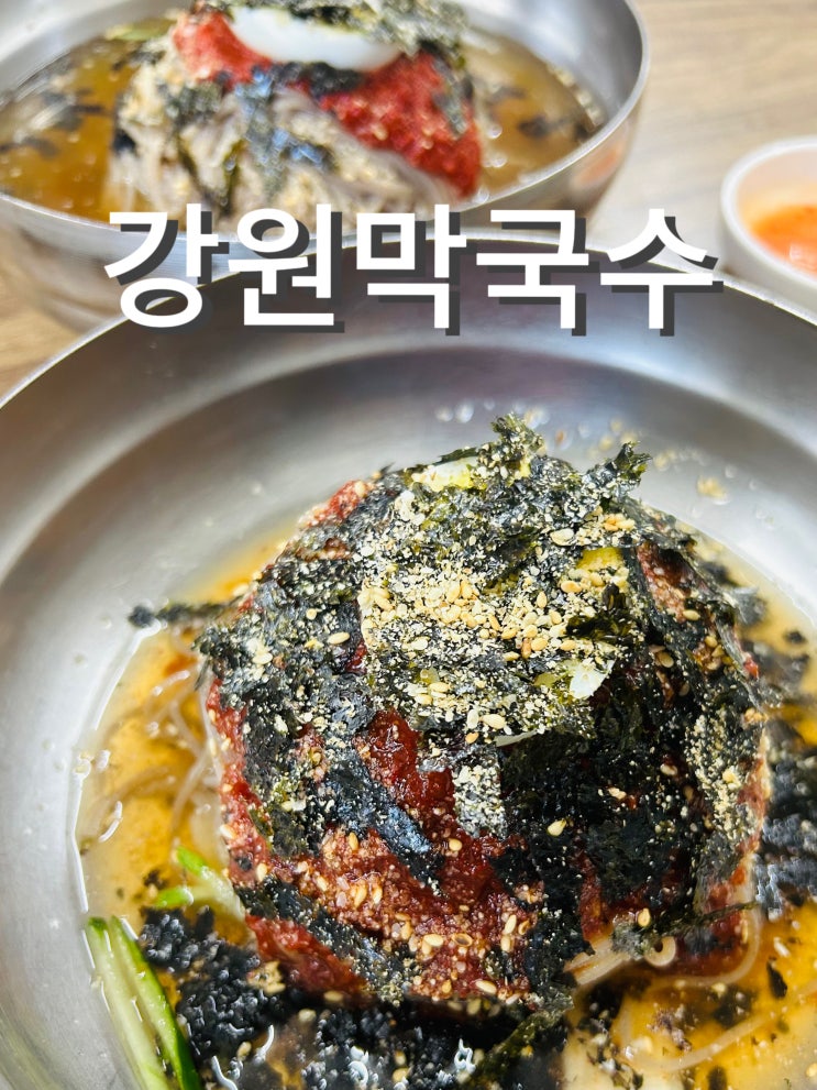  김포 고촌 강원막국수 비빔, 물 막국수, 편육, 구운 두부 내 돈 내산 후기