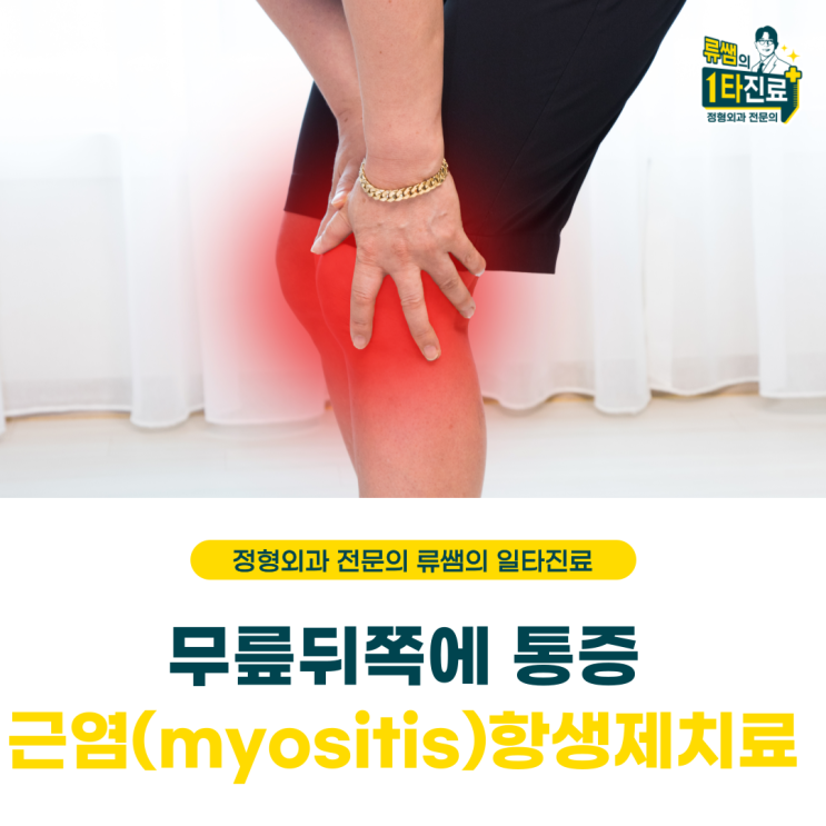  무릎 뒤쪽 근육염증/근염/항생제 치료  (의사작성)